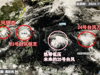 台风最新信息，动态追踪、防御指南与科学应对