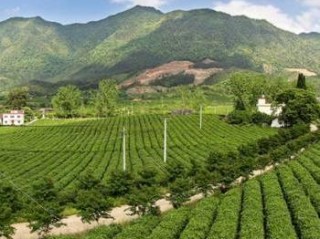 房县天气预报，春日多变，出行需备伞