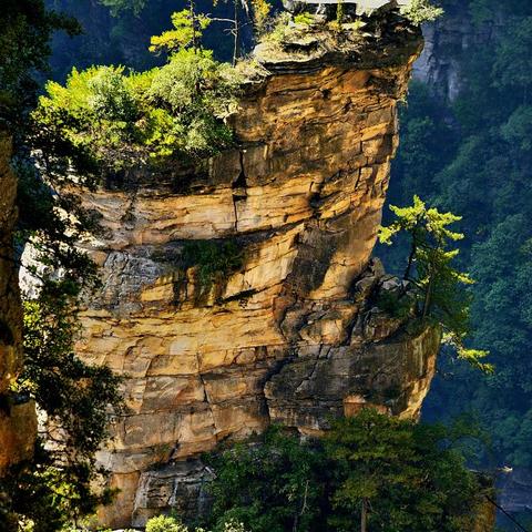 湖北今天天气怎么样?（桑植县今天天气怎么样）