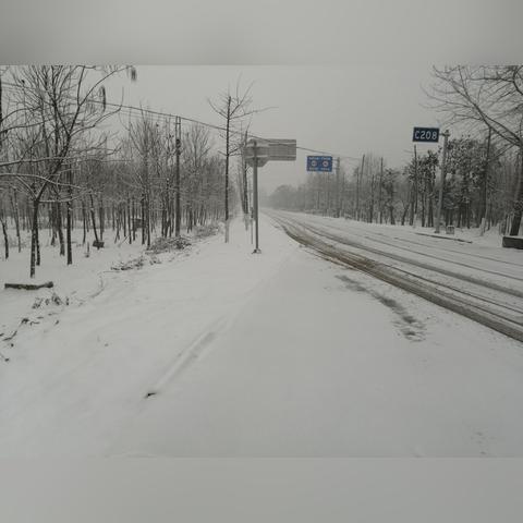西华县天气预报（西华县天气预报15天_西华县天气预报15天查询）