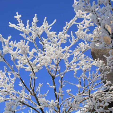 冷空气冻真格！下周重庆将迎雨雪天气，高海拔地区或现银装素裹