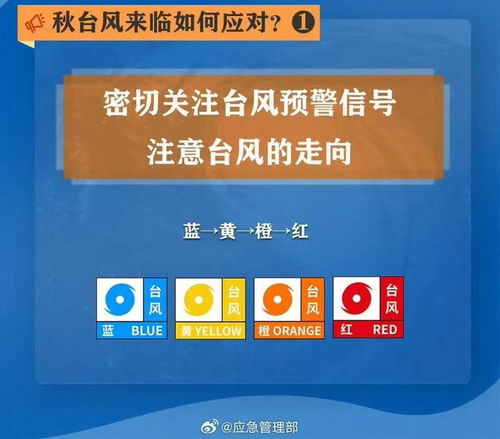 口袋彩店最新版-台风最新消息2024,多股台风接连生成,华南华东需高度警惕 口袋彩店最新版-台风最新消息2024,多股台风接连生成,华南华东需高度警惕