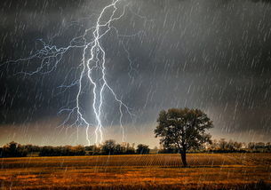 天线宝宝下载-武汉未来30天天气预报,盛夏酷热与雷雨交织,市民需做好防暑降温准备 天线宝宝下载-武汉未来30天天气预报,盛夏酷热与雷雨交织,市民需做好防暑降温准备