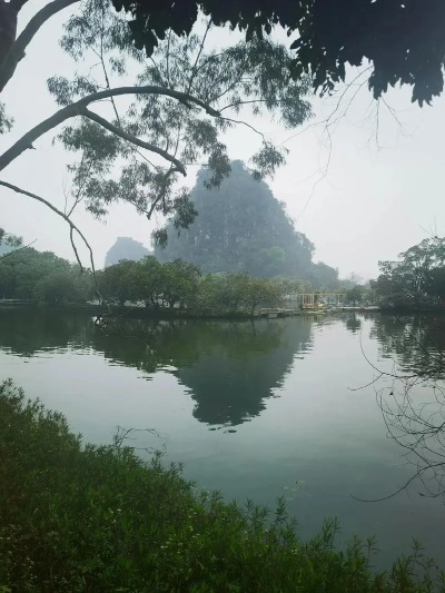 肇庆天气，岭南风情里的四季诗篇