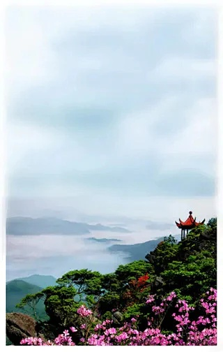崇义三十日天象探微,从云雾茶香到梯田雨意 崇义三十日天象探微,从云雾茶香到梯田雨意