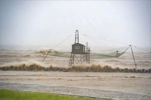 上海台风，风雨中的城市韧性