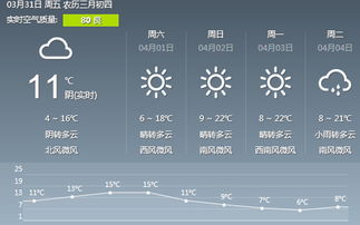 临沂天气预报15天查询百度，轻松掌握未来天气，出行规划更从容