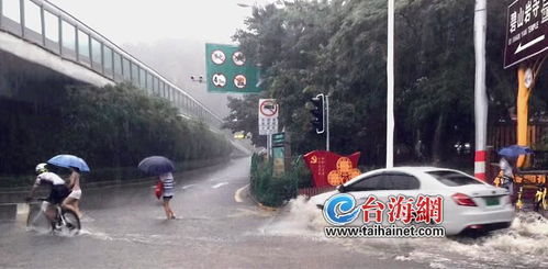 厦门今日遭遇暴雨袭击,全城应对最新情况速览 厦门今日遭遇暴雨袭击,全城应对最新情况速览