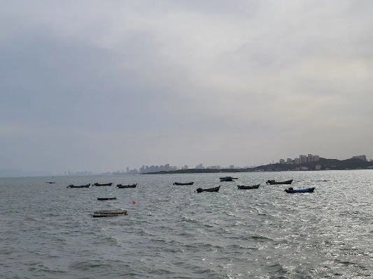 青岛明天天气，海雾散去后的温暖晴空，适宜漫步海边