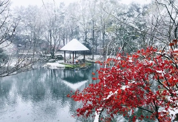 宜春天气，四季流转中的温润诗意