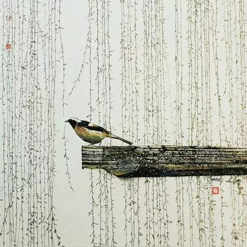 杭州的雨,下进了唐诗宋词里 杭州的雨,下进了唐诗宋词里