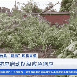 湛江天气预报15天查询，掌握海洋气候，从容规划每日生活