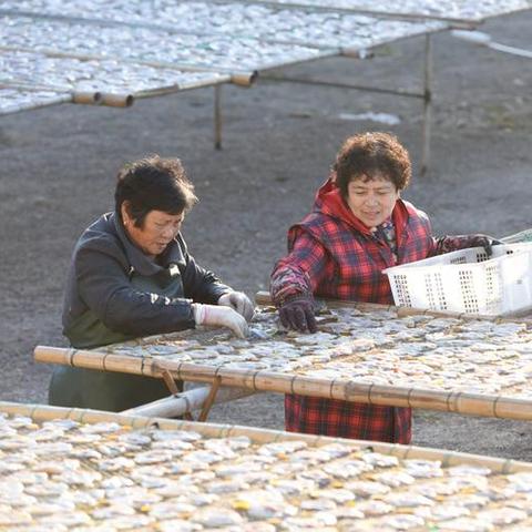 玉环天气预报15天，海岛气候的精准预判与生活指南