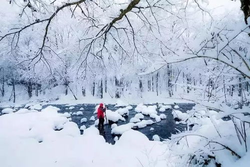 长春24小时,从晨雾到夜雪,一组天气预报里的城市呼吸 长春24小时,从晨雾到夜雪,一组天气预报里的城市呼吸
