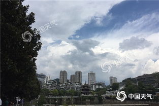 沈阳的天气，四季分明，冷暖人间