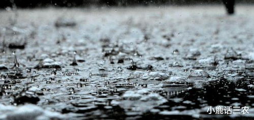 明天几点下大暴雨？