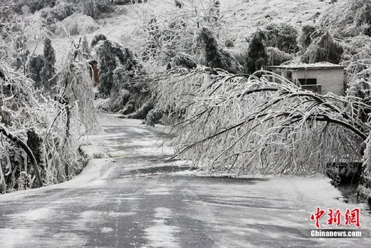 南方雨雪来袭，一场冬日里的湿冷魔法考验